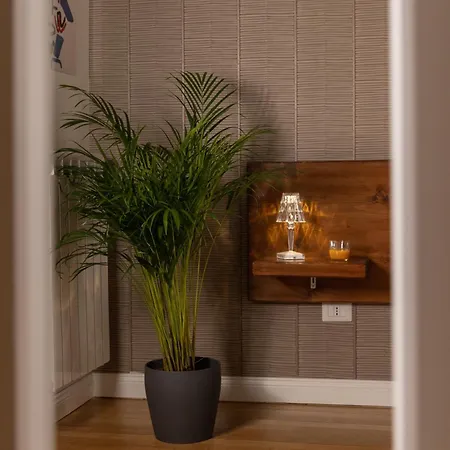 The View - Dolcevite Rom